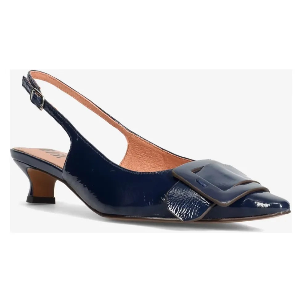 Altair Pumps