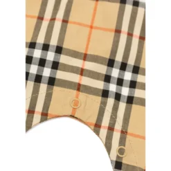 Andreas Romper