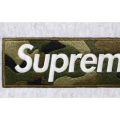 Box Logo Hooded Sweatshirt