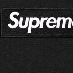 Box Logo Hooded Sweatshirt