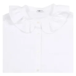 Camicia M. Lunga