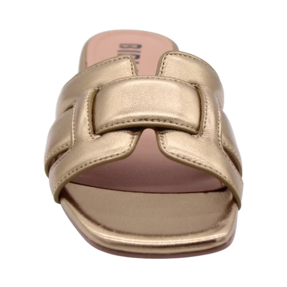 CLAY Sliders
