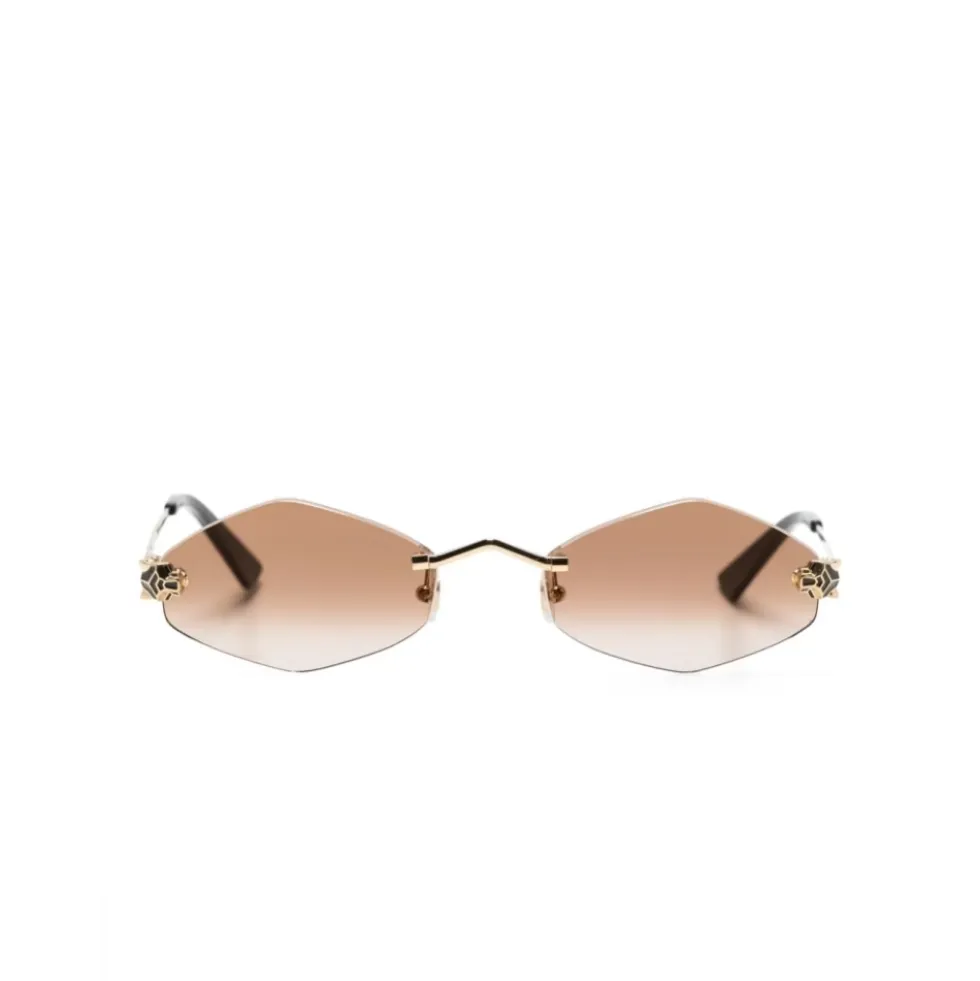 CT0433S 002 Sunglasses
