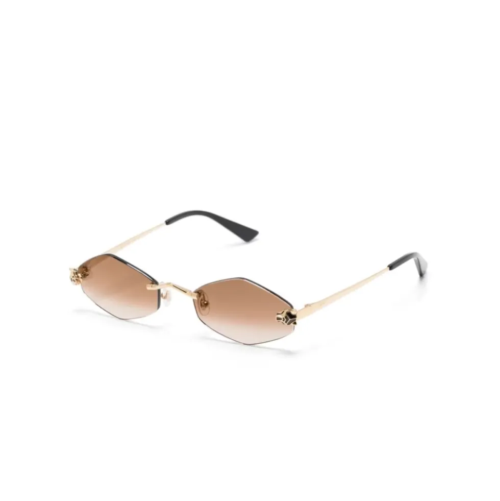 CT0433S 002 Sunglasses