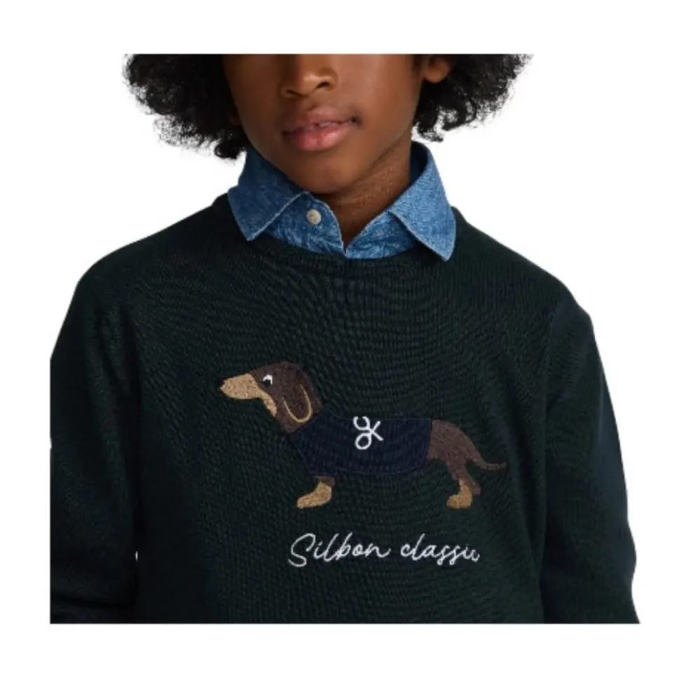 Dog Sweater