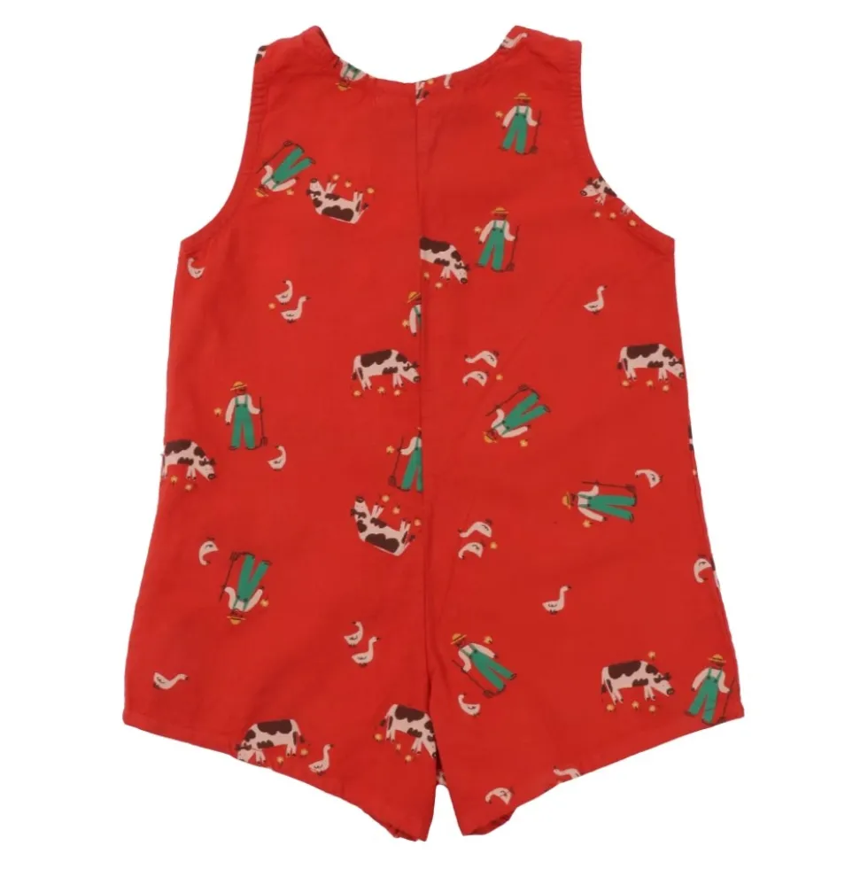Farm Adventure all over playsuit