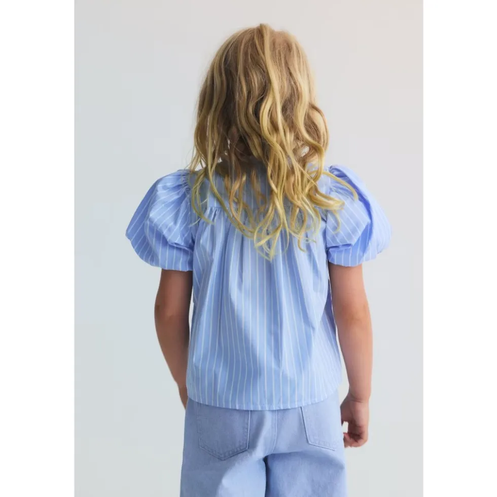 Ficus Bluse Ficus Striber