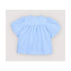 Ficus Bluse Ficus Striber