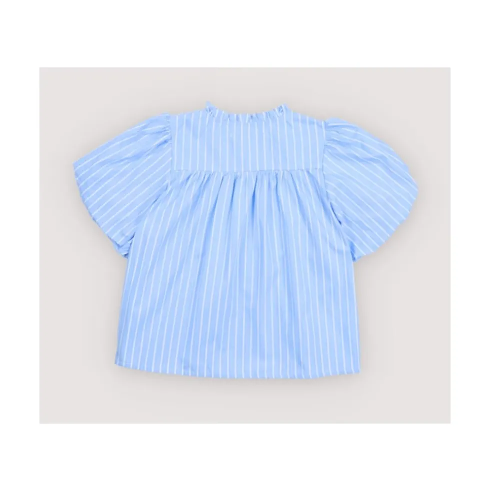 Ficus Bluse Ficus Striber