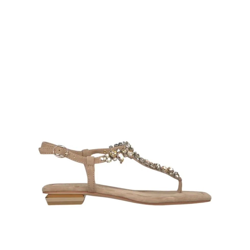 Flat Toe Sandal
