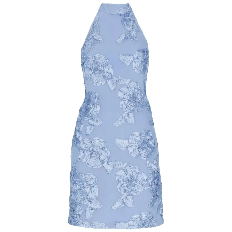 Flower Mesh Mini Dress