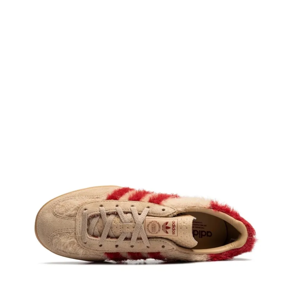 Gazelle Indoor