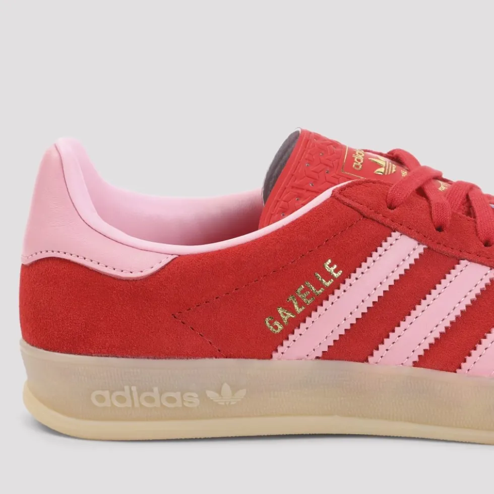 Gazelle Indoor