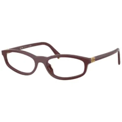 Optical Frame