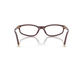 Optical Frame