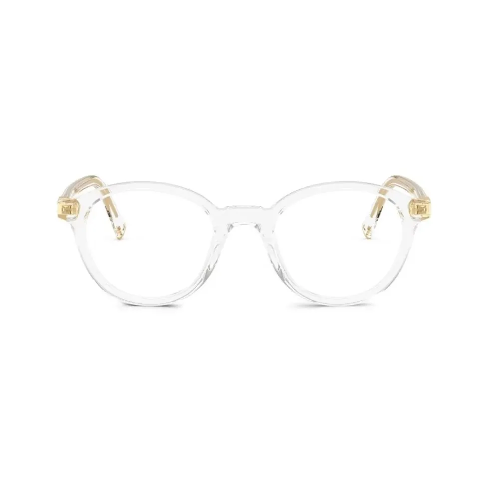 Optical Frame