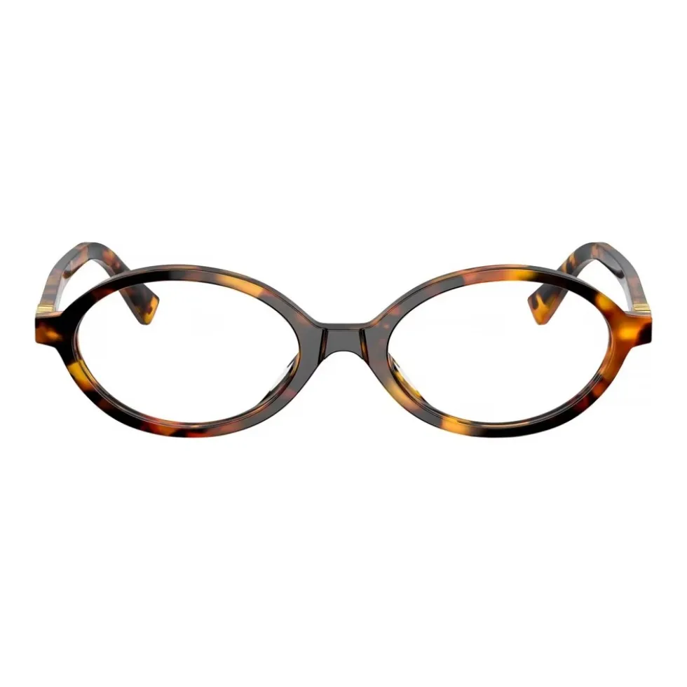 Optical Frame