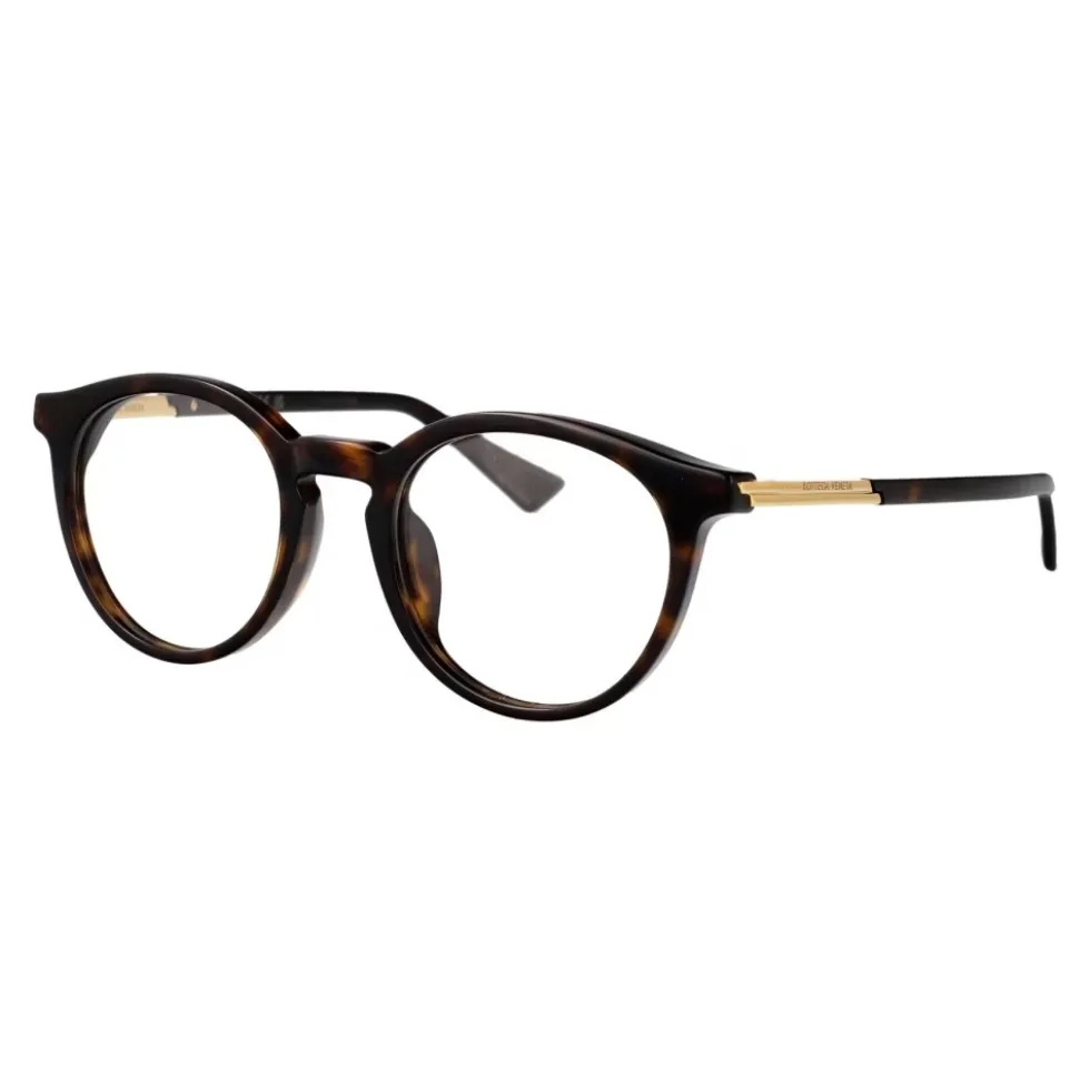 Optical Glasses BV1335OA