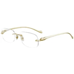 Panthère Optical Frame