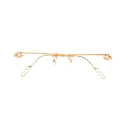 Precious Optical Frame