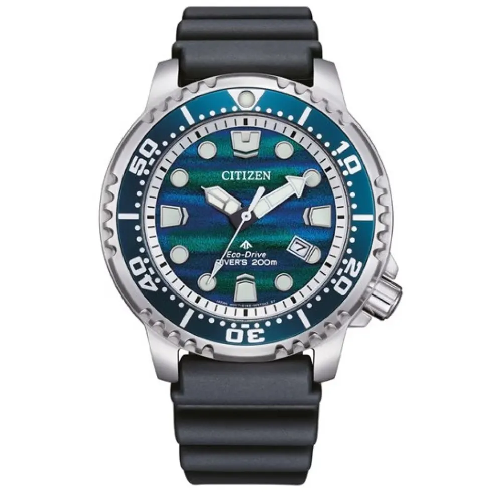 Promaster Dive