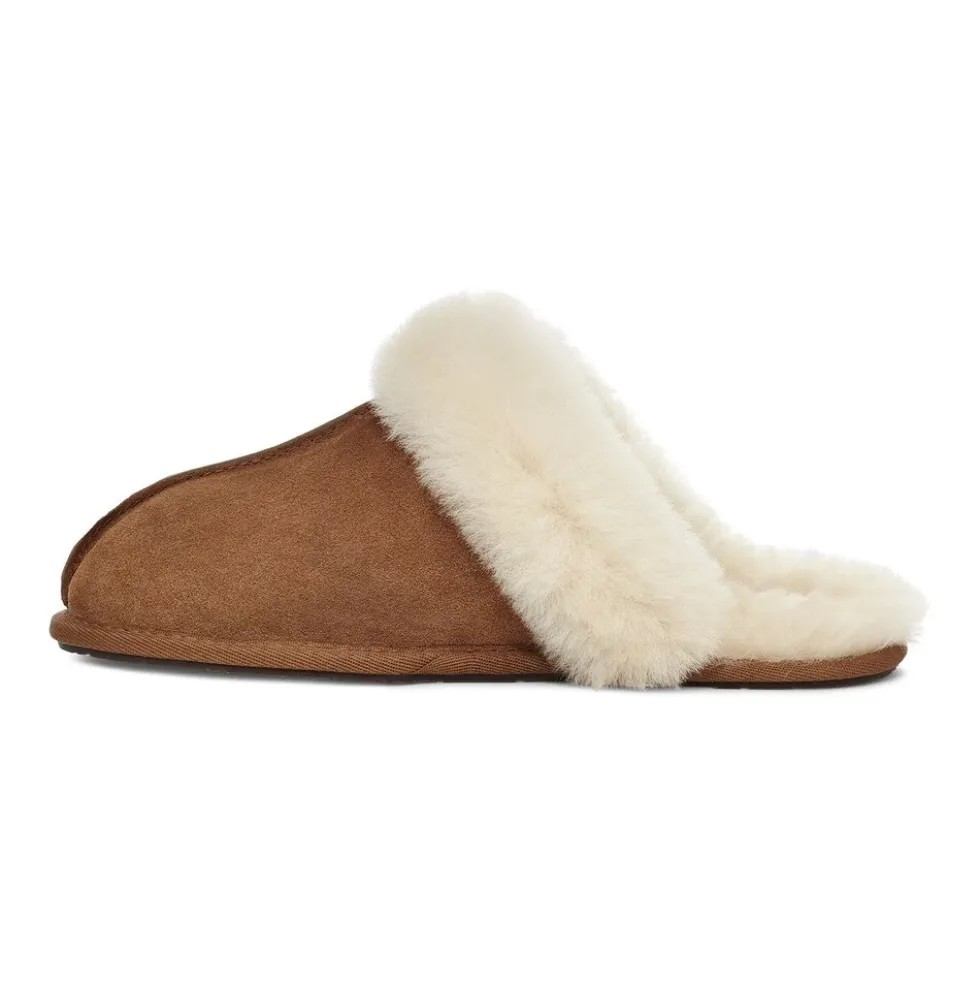 Scuffette II Slippers Chestnut