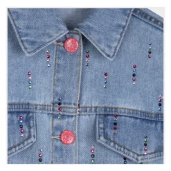 Sequin Denim Jacket