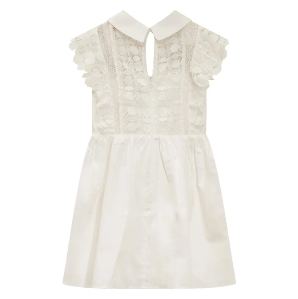 Shirt Collar Short Sleeve Dress