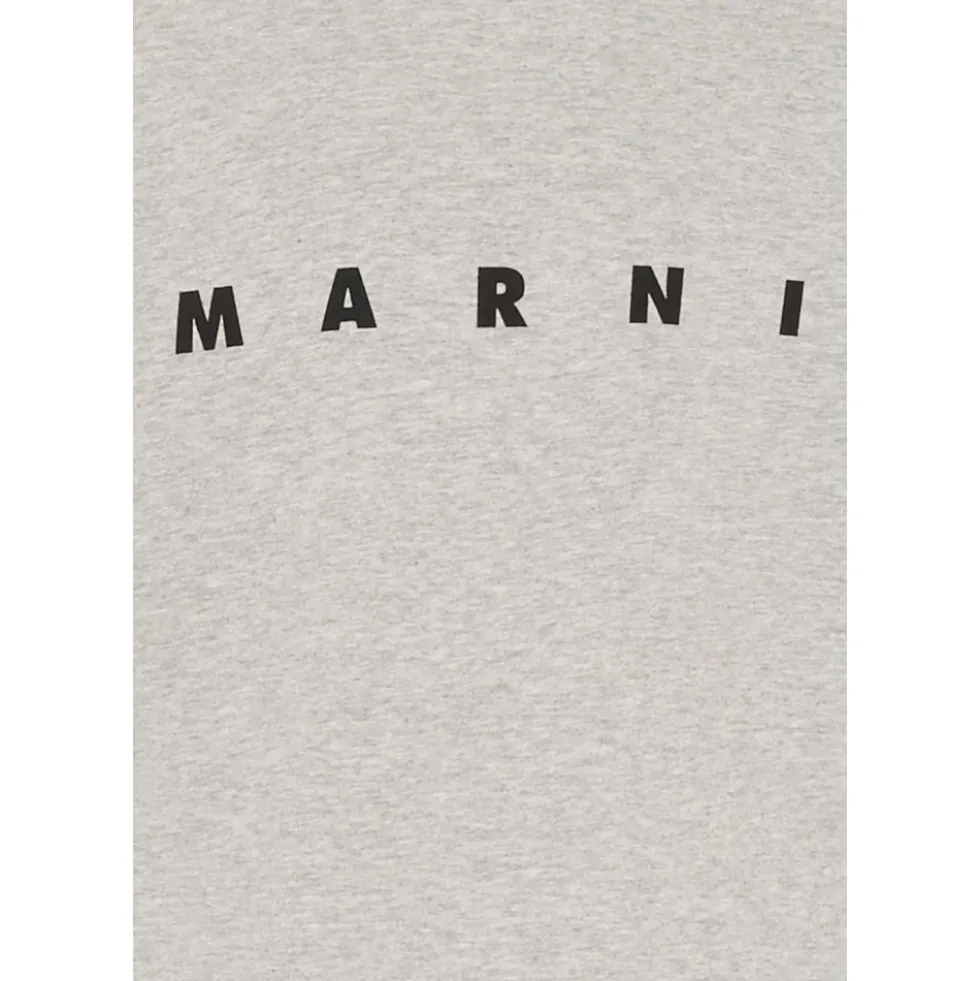 Short Sleeves T-Shirt