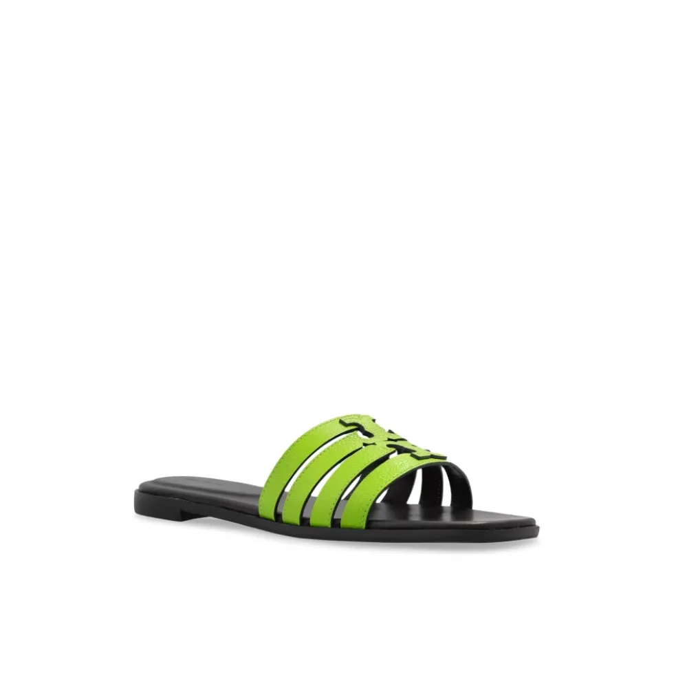 Slides Ines