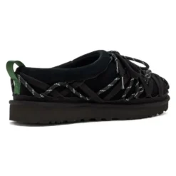 Tasman Lace