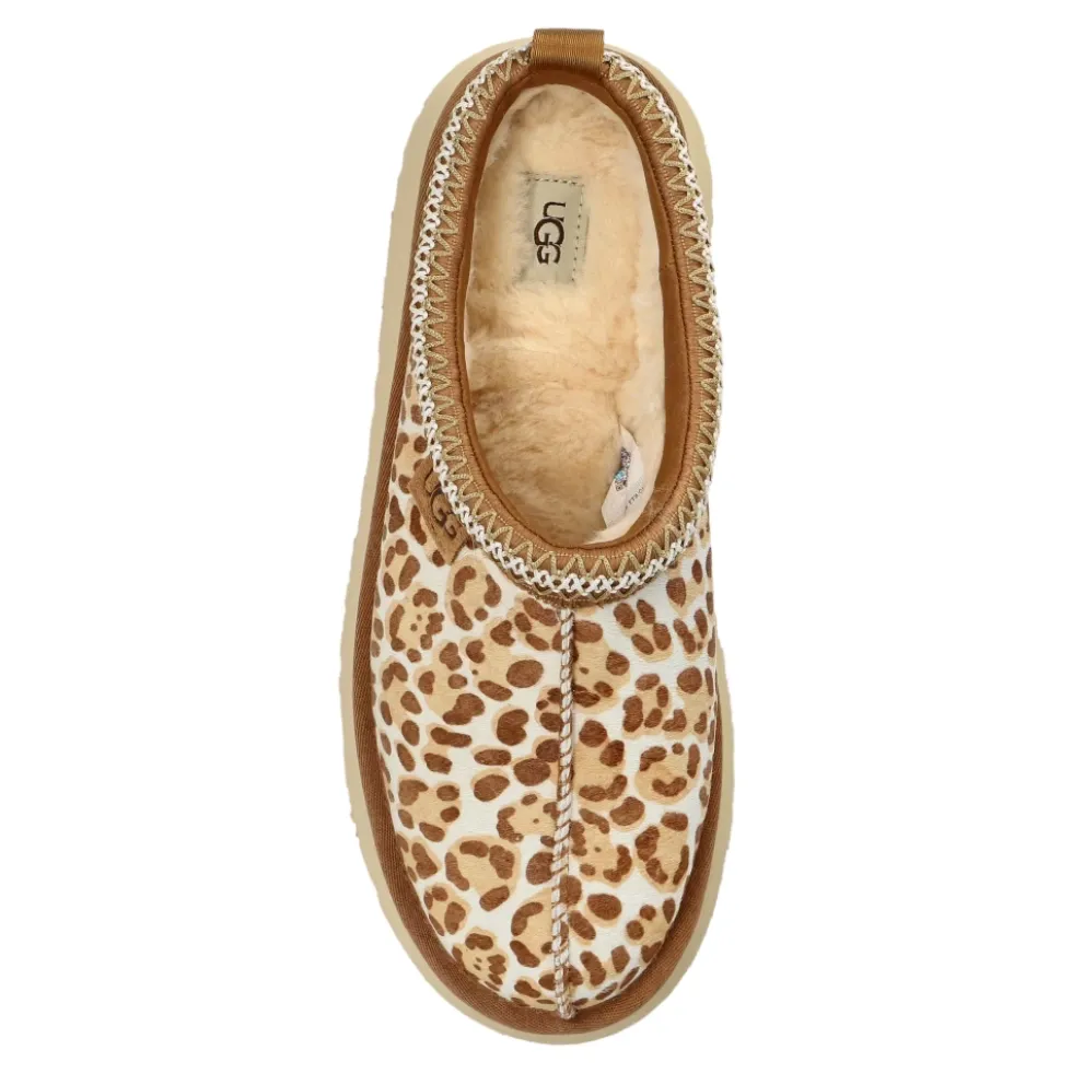 Tazz Plains Shoes