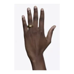 Tryvann Ring