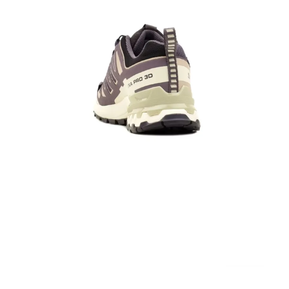 XA Pro 3D V9 Gore-Tex Trail Shoe