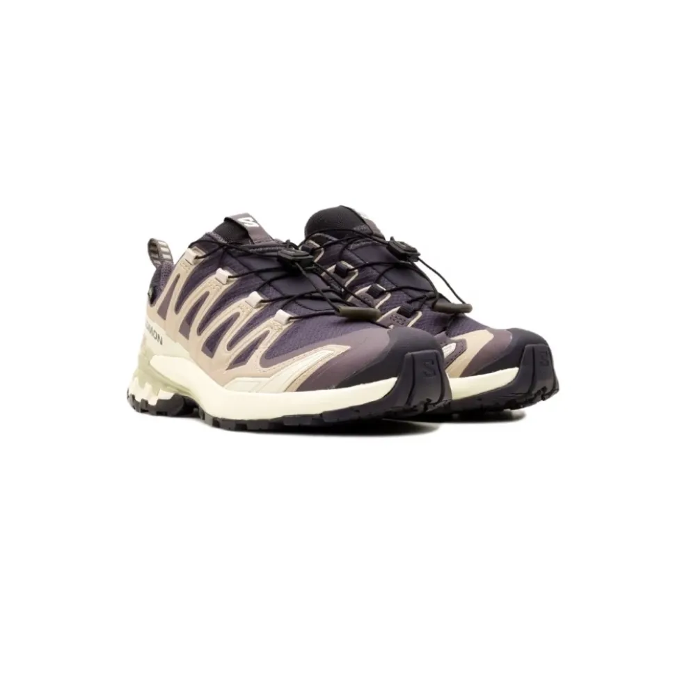 XA Pro 3D V9 Gore-Tex Trail Shoe